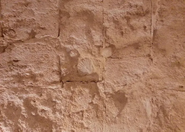 La Pergola Ai Sassi Bed & Breakfast